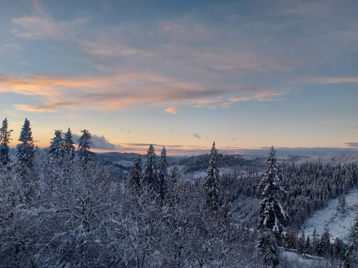 Вилла Затишок Tysovets Экстерьер фото